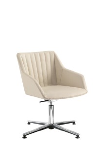 Dama_Strip-ModDA-082opDA-A45-N