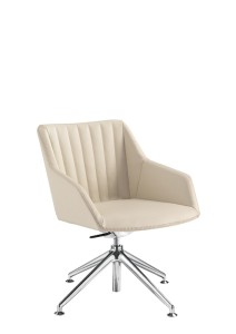 Dama_Strip-ModDA-087opDA-A45-CR